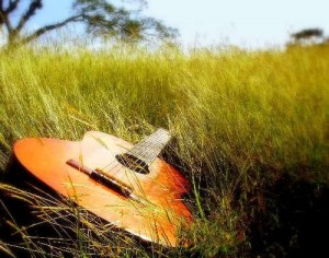 guitar in grass