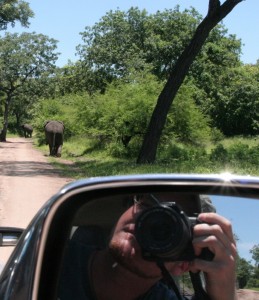 It's all about perspective--following elephants in Majete Park