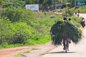 Malawi bicycle 2