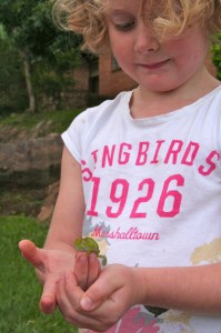 Not everything in our garden is dangerous. Sophia found a lovely chameleon last month.