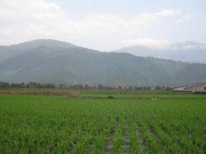 Yuli: rift valley, rice fields & mountains