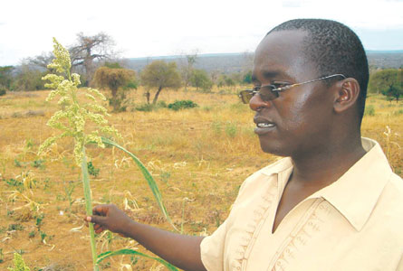 David Mburu stands in a drought-stricken field where the Presbyterian Church of East Africa is working to improve lives. Photo - courtesy of David Mburu