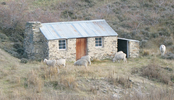 Shepherd’s shack in Central Otago