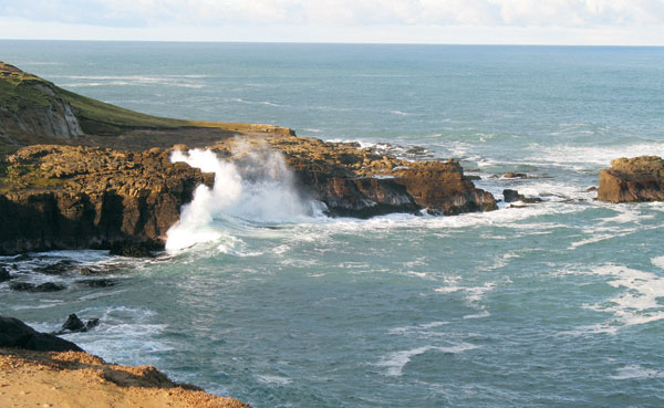 Slope Point, the most southerly point in New Zealand