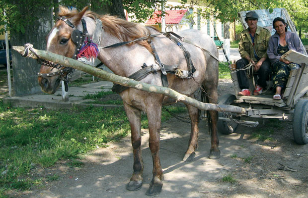 A Roma couple in a horse-drawn carriage