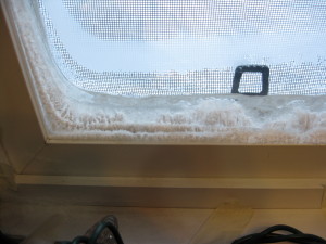 Snowmen growing on the inside of our window