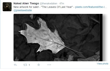 The Leaves of Last Year - Tim Good