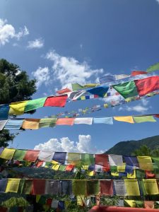 Flags on line