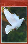 Cover2013-05-19