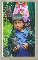 Cover2014_02_16