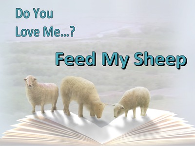 John 21-16 Do You Love Me Feed My Sheep white